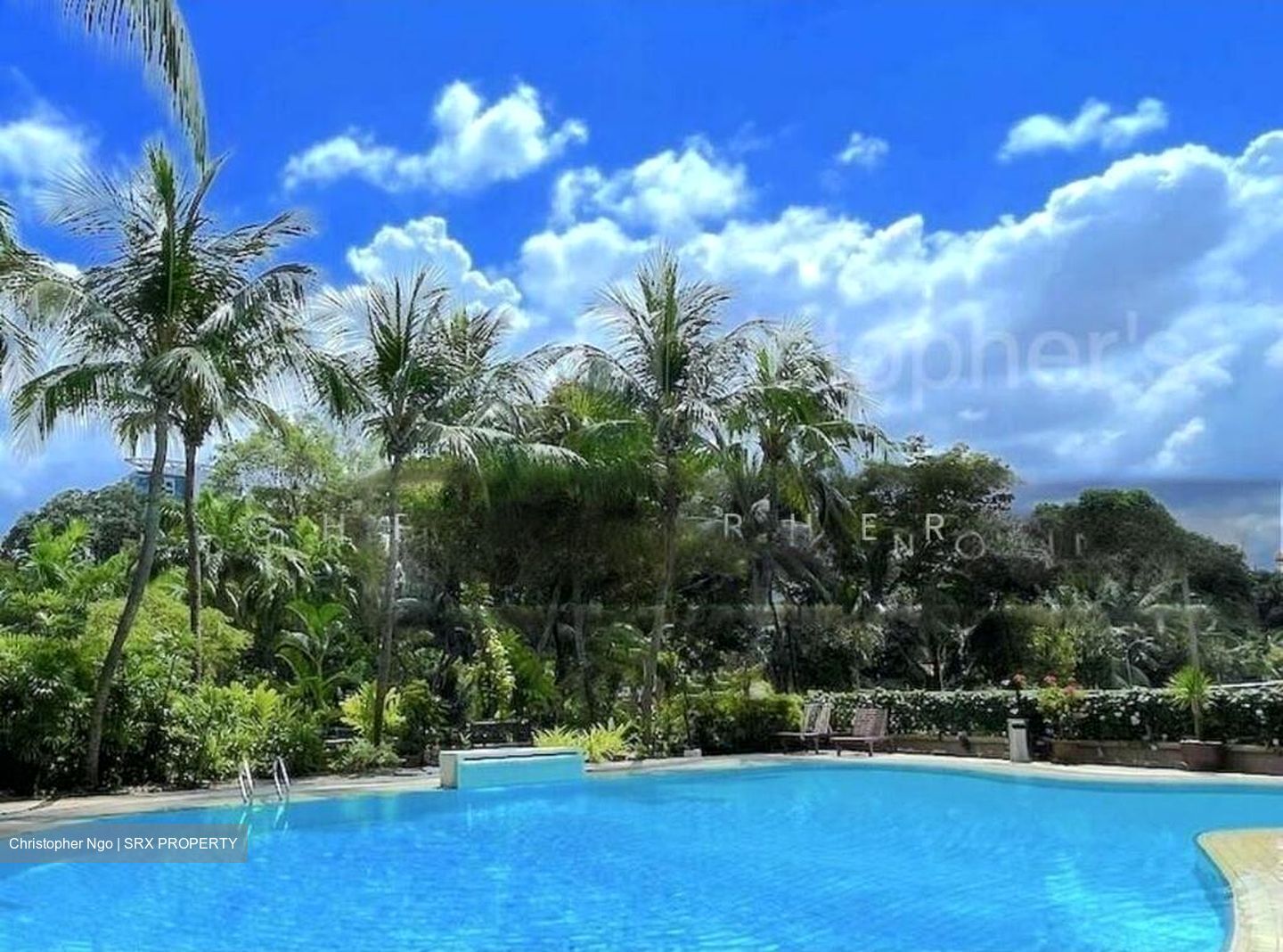 Arthur Road (D15), Condominium #502160031